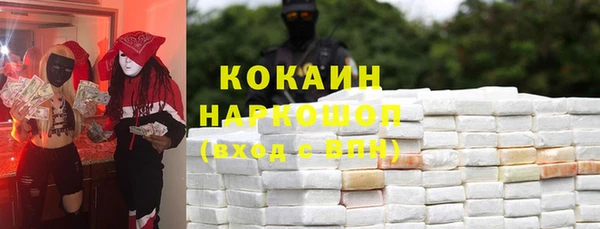 стаф Тавда