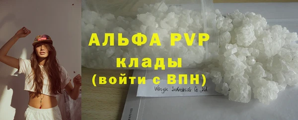 стаф Тавда