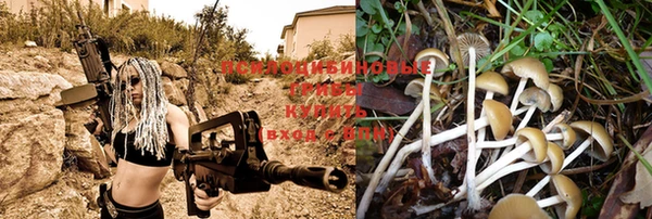 не бодяженный Тайга