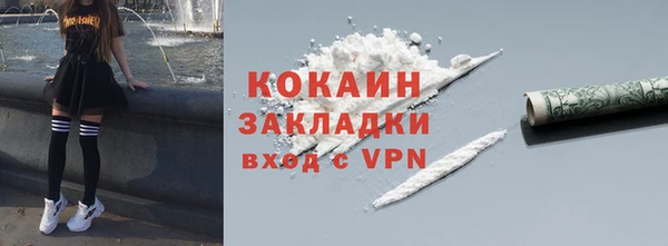 стаф Тавда