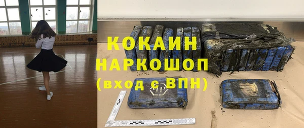 стаф Тавда