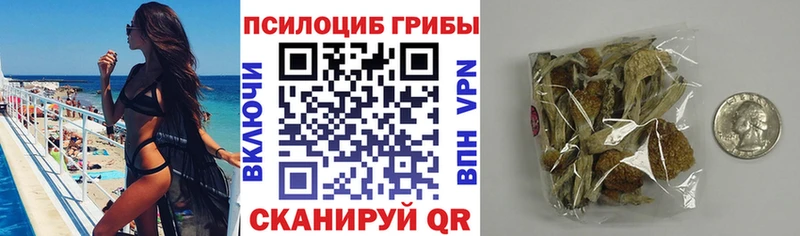 Купить закладки Жуковка Галлюциногенные грибы мицелий
