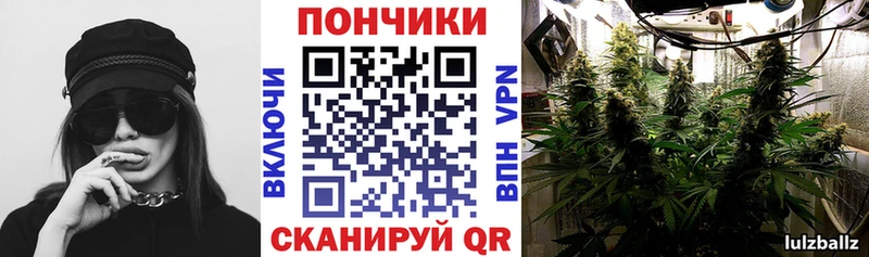 Марихуана план  Купить закладки  Жуковка 